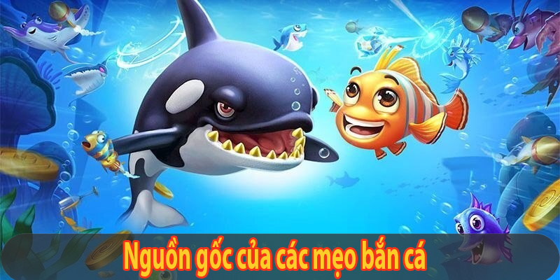 Nguồn gốc của các mẹo bắn cá