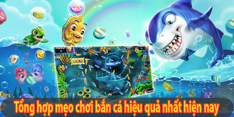 Tổng hợp mẹo chơi bắn cá hiệu quả nhất hiện nay